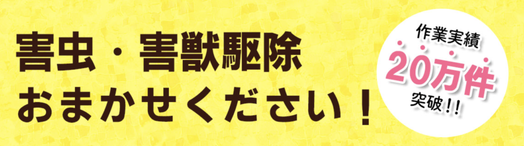 アールクリーニングの実績について